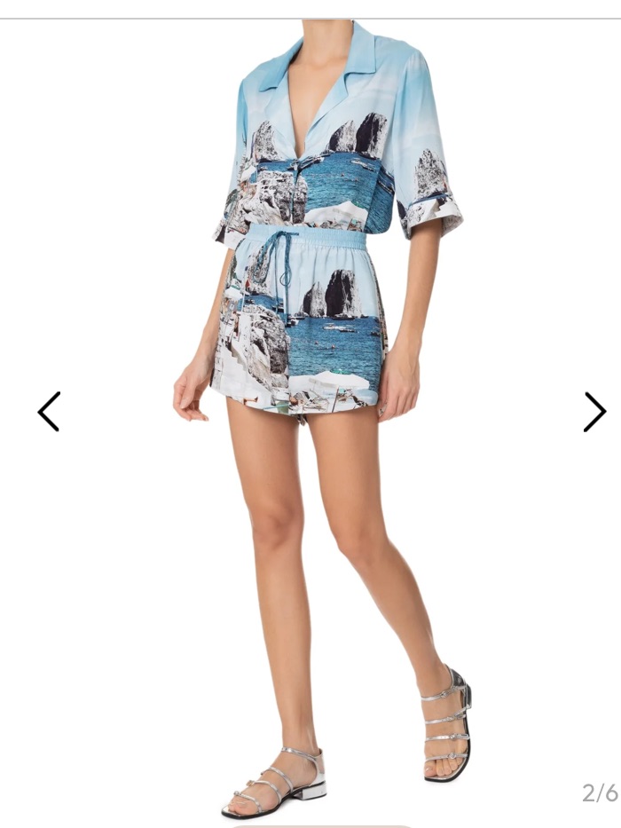 Adriana Degreas Women's Short-Sleeve Shirt Oversized Postcard Blue Nwt